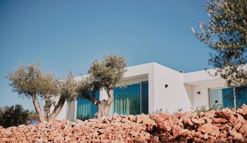 Studio with Vineyard View