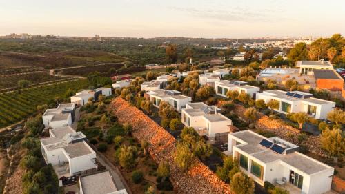 One-Bedroom Apartment with Vineyard View