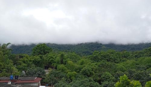 Mixed Dormitory Room