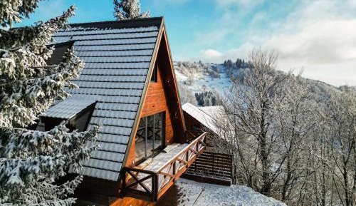 Two-Bedroom Chalet