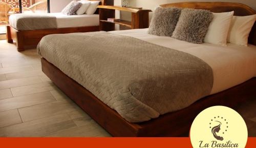 Double Room with Park View