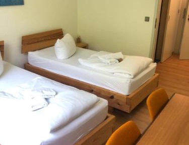 Twin Room with Lake View