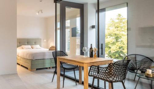 Deluxe Studio with Terrace