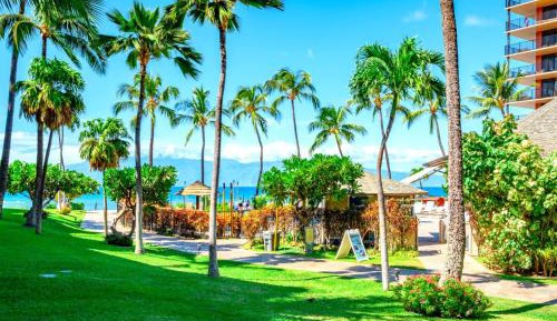 KBM Resorts   6-Bedroom Kaanapali Shores Collection   Multi Unit Listing   Same Building   Sweeping Ocean Views   3 Free Rental Cars KS-155/258/260