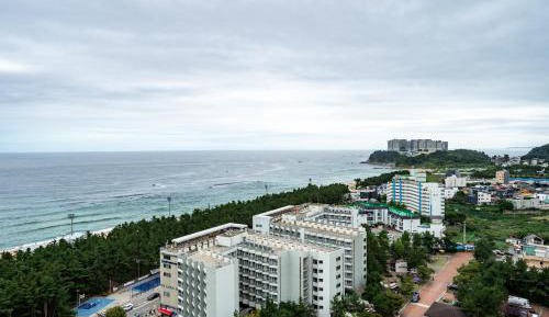 Studio Partial Ocean