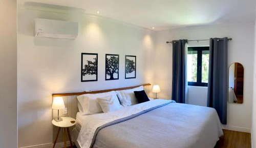 One-Bedroom Apartment - Non-Smoking