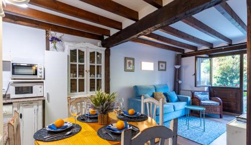 One-Bedroom Apartment with Balcony and Mountain View  