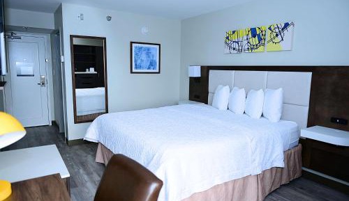 Deluxe King Room with Walk-In Shower - Non-Smoking