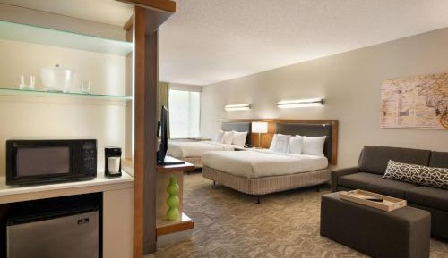 Queen Studio with Sofa Bed