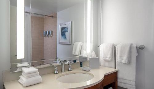 Deluxe King Suite with Sofa Bed