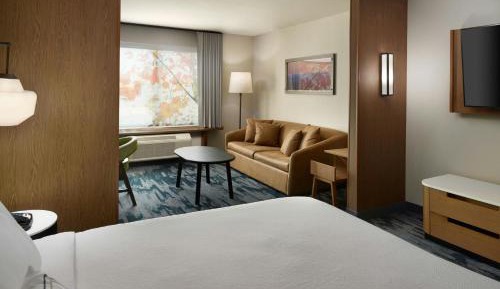 Studio Suite, 1 King, Sofa bed