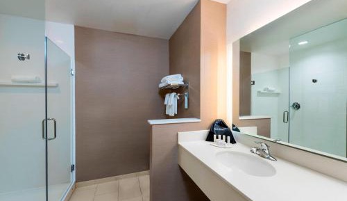 Suite with One King Bed and Sofa Bed