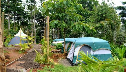 Tent