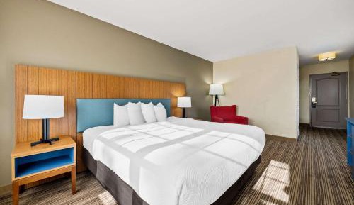 King Room - Non-Smoking