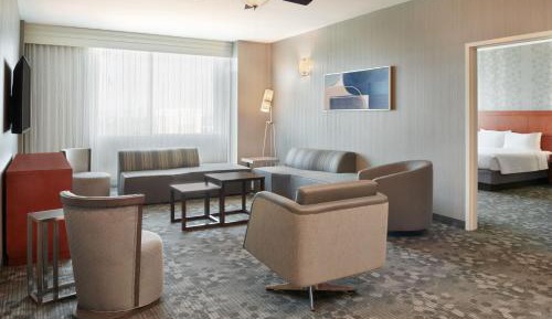 Deluxe One-Bedroom Business Suite with City View