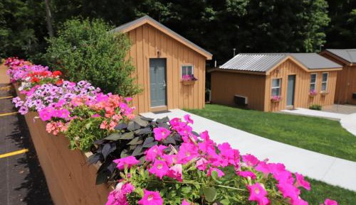 Creekside Cabin (1 king)