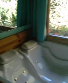 One-Bedroom Apartment with Garden View