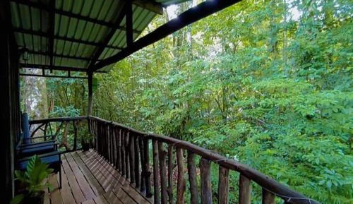 Apartment with Mountain View