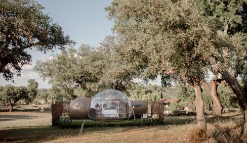 Queen Room with Garden View