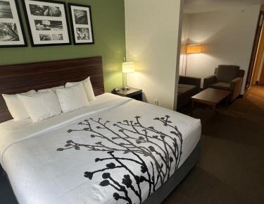 King Suite - Non-Smoking