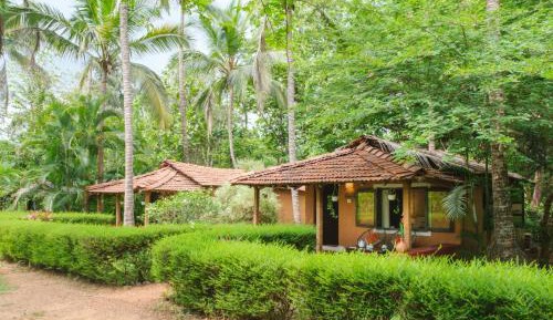 Superior Forest Cottage