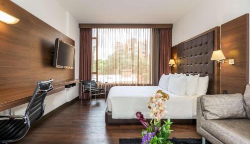 Superior Double or Twin Room