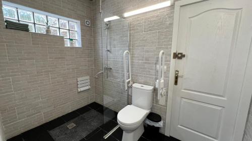 Single Bed in Mixed Dormitory Room