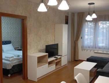 Deluxe One-Bedroom Apartment