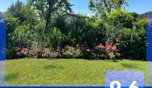 Double or Twin Room with Garden View