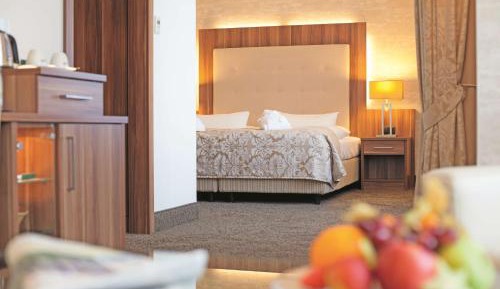 Premium Plus Double Room with 1 Double Bed