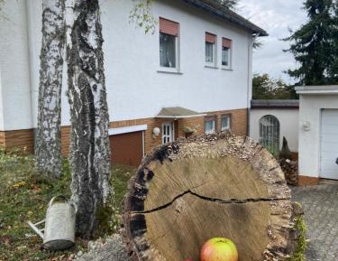 Two-Bedroom Apartment with Garden View