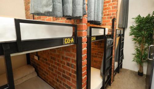 Bunk Bed in Mixed Dormitory Room