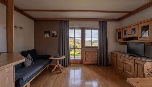 Deluxe One-Bedroom Apartment