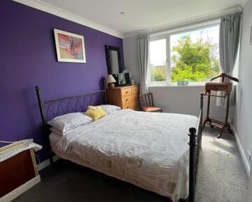 King Room with Garden View