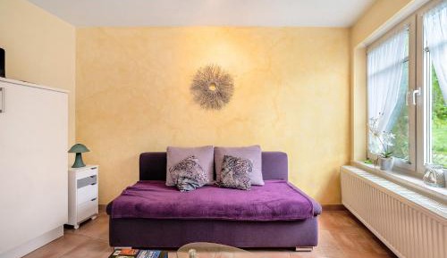 Superior One-Bedroom Apartment with Balcony