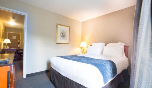 One Bedroom Suite 