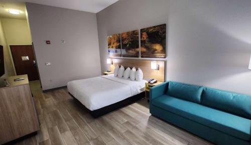 King Room with Roll-In Shower - Mobility/Hearing Accessible - Non-Smoking