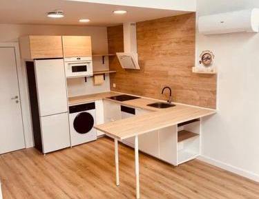 One-bedroom Loft Apartment 