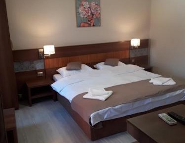 Deluxe Room (2 Adults + 1 Child)