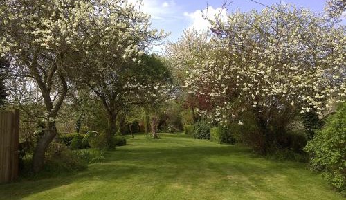 Double or Twin Room with Garden View