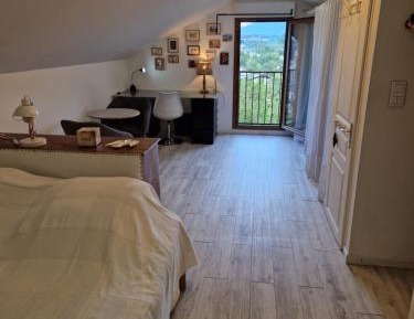 Double Room with Mountain View