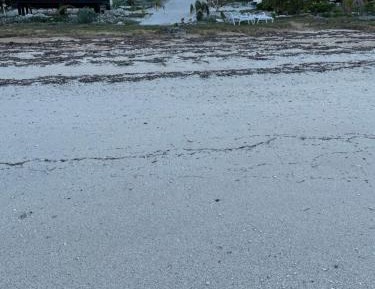 Two-Bedroom Apartment with Ocean View