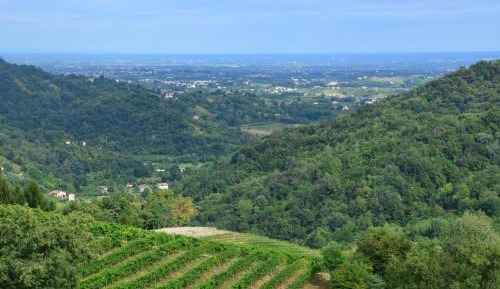 Double or Twin Room with View