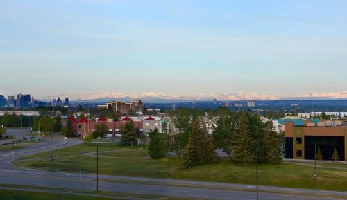 Studio, 1 King, Sofa bed, Mountain view