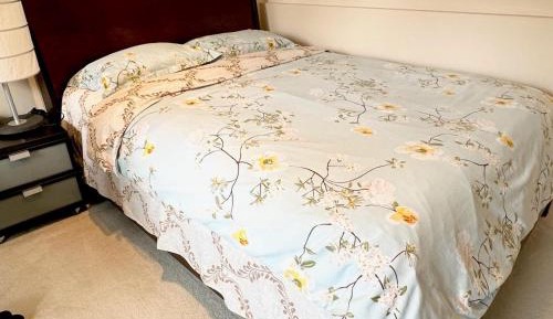 Standard Double Room with Shared Bathroom