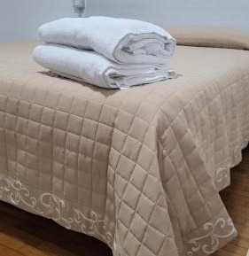 Two-Bedroom Apartment with Balcony and Terrace