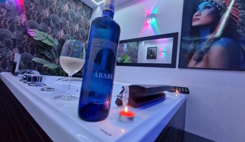 One-Bedroom Apartment with Terrace