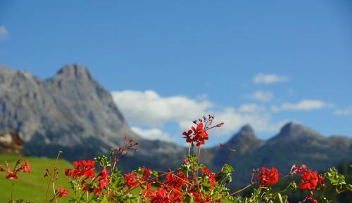 Two-Bedroom Apartment with Balcony