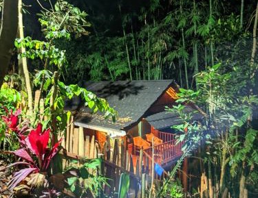 Deluxe Double or Twin Room with River View