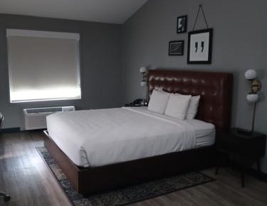 Executive Suite, 1 King